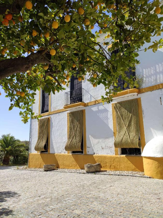Finca Las Rosas De Santa Ana Вильямартин Экстерьер фото