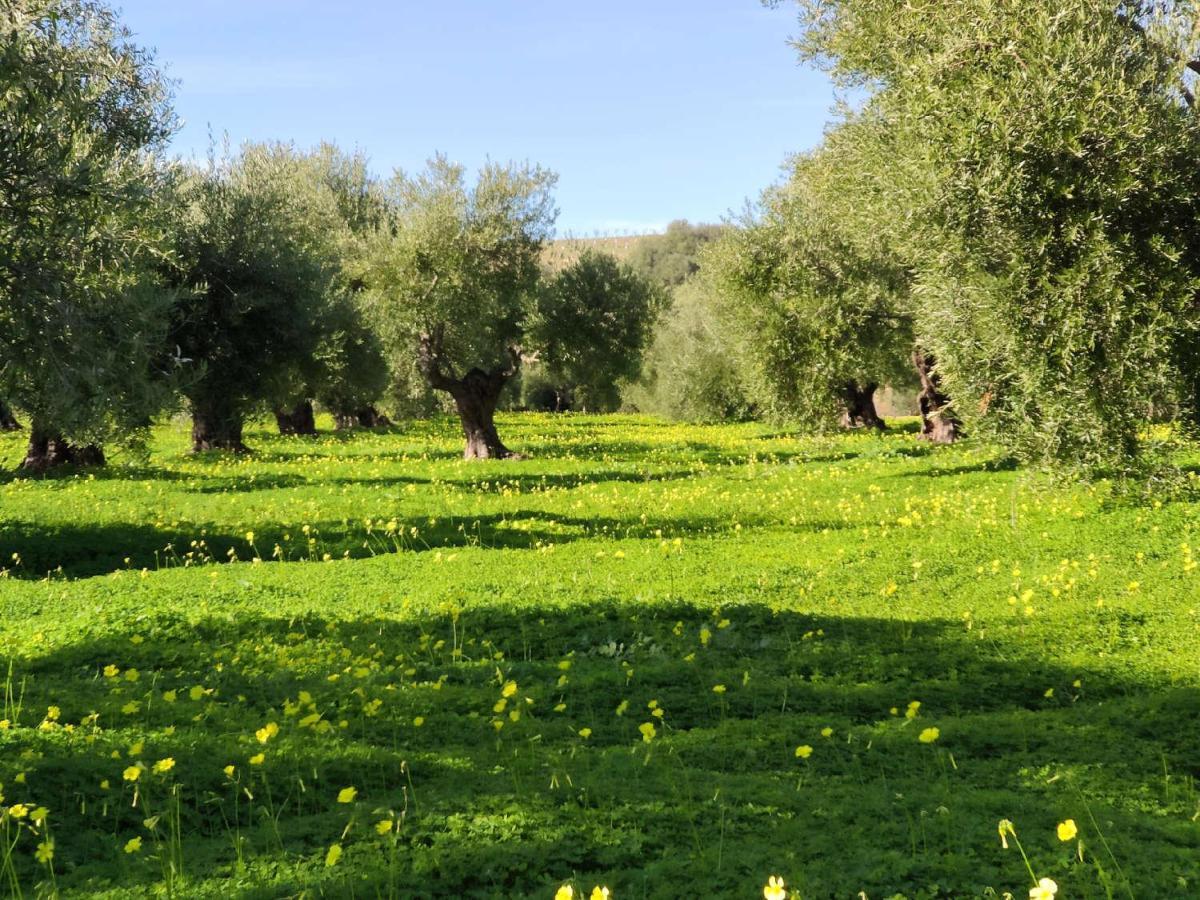 Finca Las Rosas De Santa Ana Вильямартин Экстерьер фото