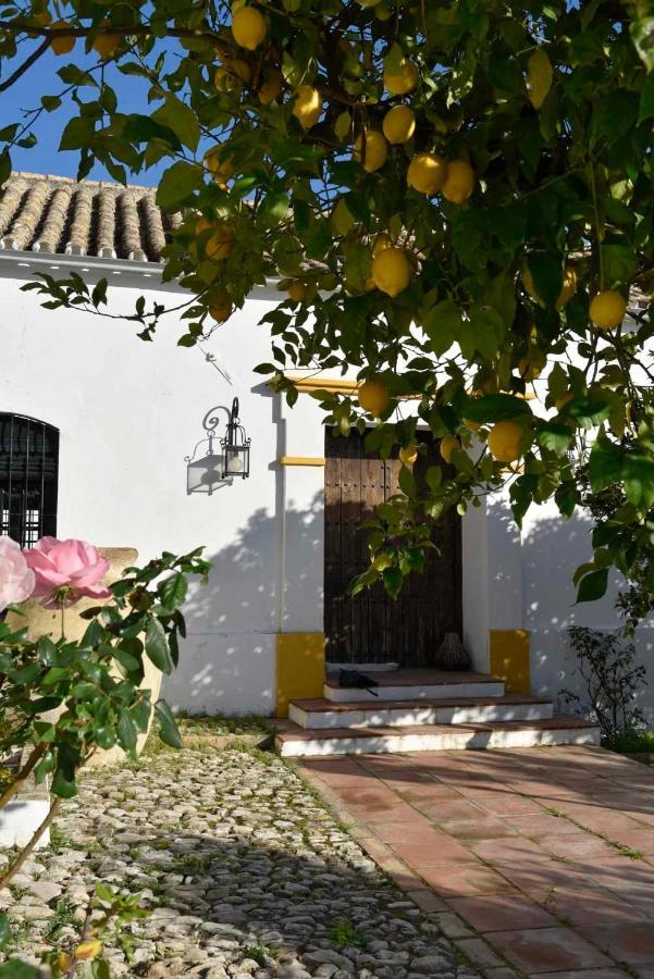 Finca Las Rosas De Santa Ana Вильямартин Экстерьер фото