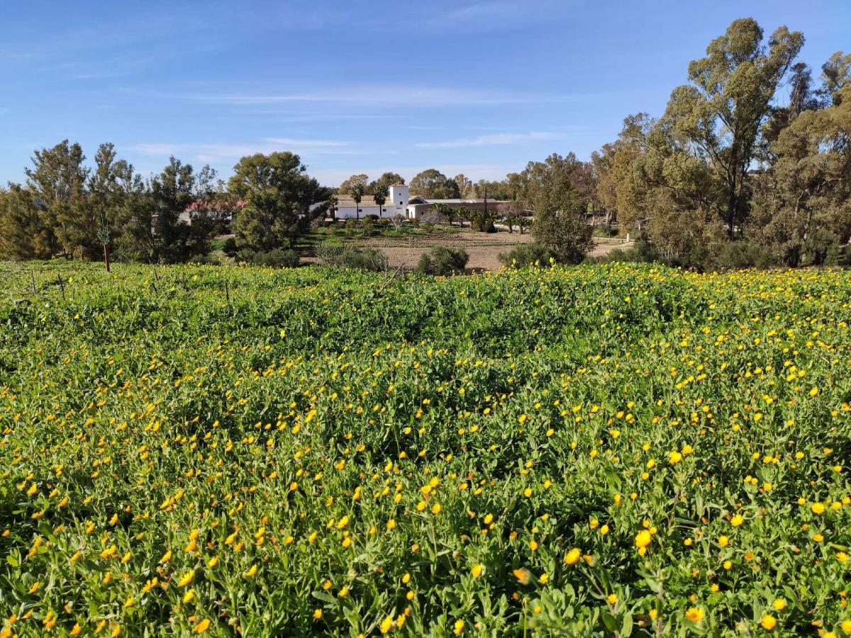 Finca Las Rosas De Santa Ana Вильямартин Экстерьер фото